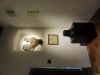 Led projectie